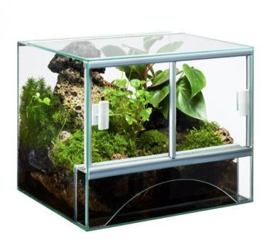 Diversa üveg terrárium 72 literes 60x30x40 cm-es