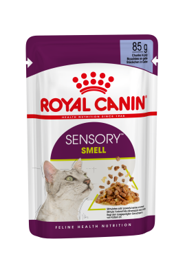 RoyalCanin Sensory Smell Jelly macskáknak zselés alutasakos eldel 85 g-os
