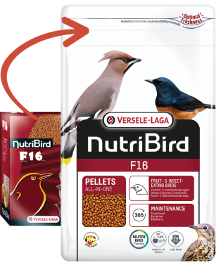 Versele-Laga NutriBird F16 pellet eledel kistestű gyümölcs és rovarevő madaraknak 800 g-os