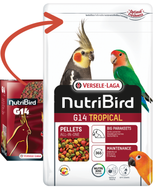 Versele-Laga NutriBird G14 Tropical trópusi gyümölcsös pellet eledel közepes papagájoknak 1 kg-os