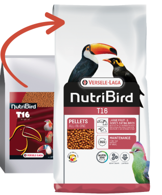 Versele-Laga NutriBird T16 pellet eledel nagy testű gyümölcsevő és rovarevő madarknak 700 g-os