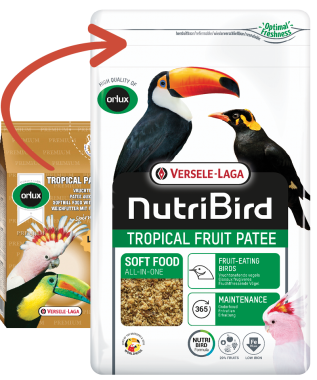 Versele-Laga NutriBird Tropical Fruit Patee teljesértékű lágyeleség gyümölcs evő madaraknak 1 kg-os