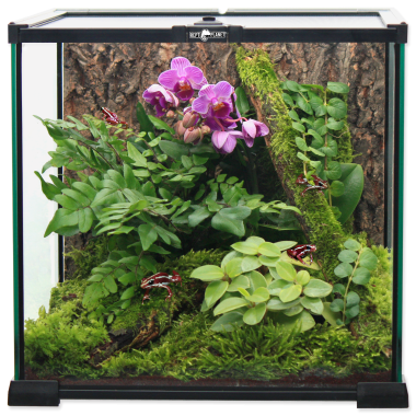 ReptiPlanet Mini Glass Reptile Habitat mini üveg terrárium 20x20x20 cm-es