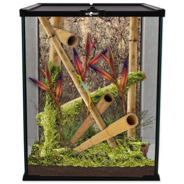 ReptiPlanet Mini Glass Reptile Habitat mini üveg terrárium 20x20x30 cm-es