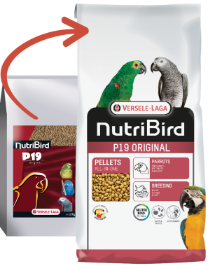 Versele-Laga NutriBird P19 Original almás pellet eledel tenyész óriás papagájoknak 10 kg-os