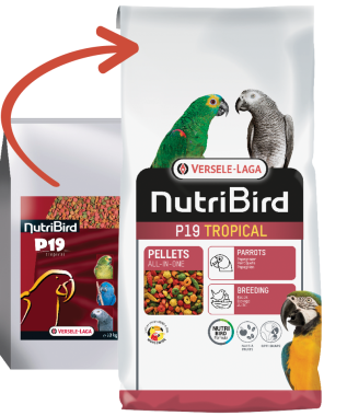 Versele-Laga NutriBird P19 Tropical trópusi gyüm. pellet eledel tenyész óriás papagájoknak 10 kg-os