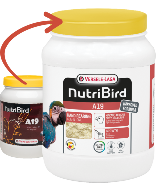 Versele-Laga NutriBird A19 kézzelnevelő eledel magas energiatartalommal 800 g-os