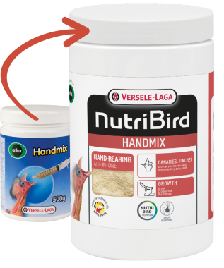 Versele-Laga NutriBird Handmix kézzelnevelő eledel kistestű mag és rovarevő madaraknak 500 g-os